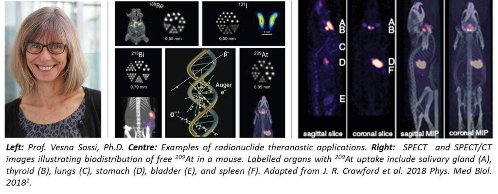 Prof. Vesna Sossi and her research