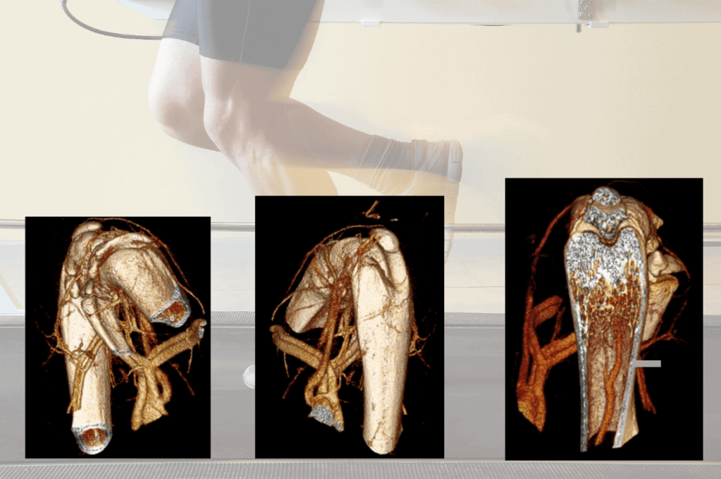 Charite MILabs installation