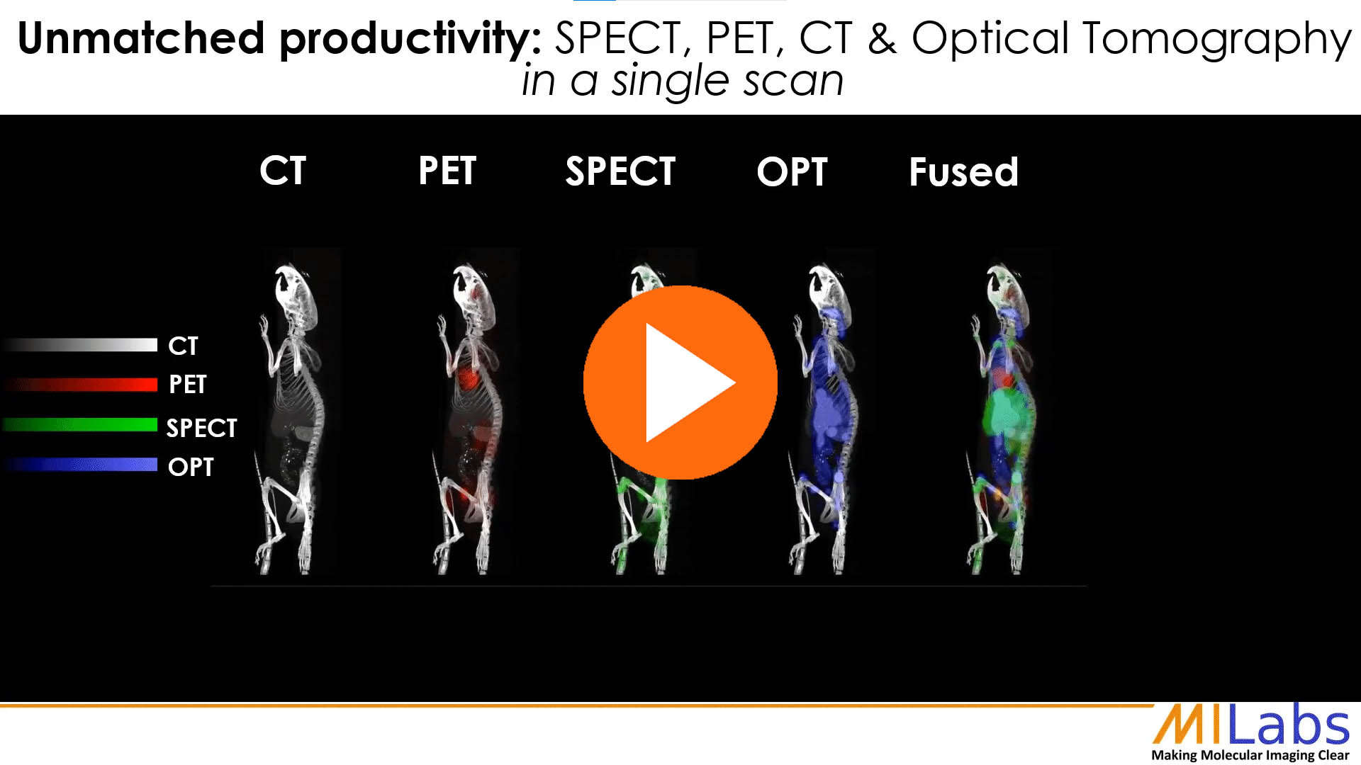 paralel preclinical SPECT PET Optical CT scan of a mouse