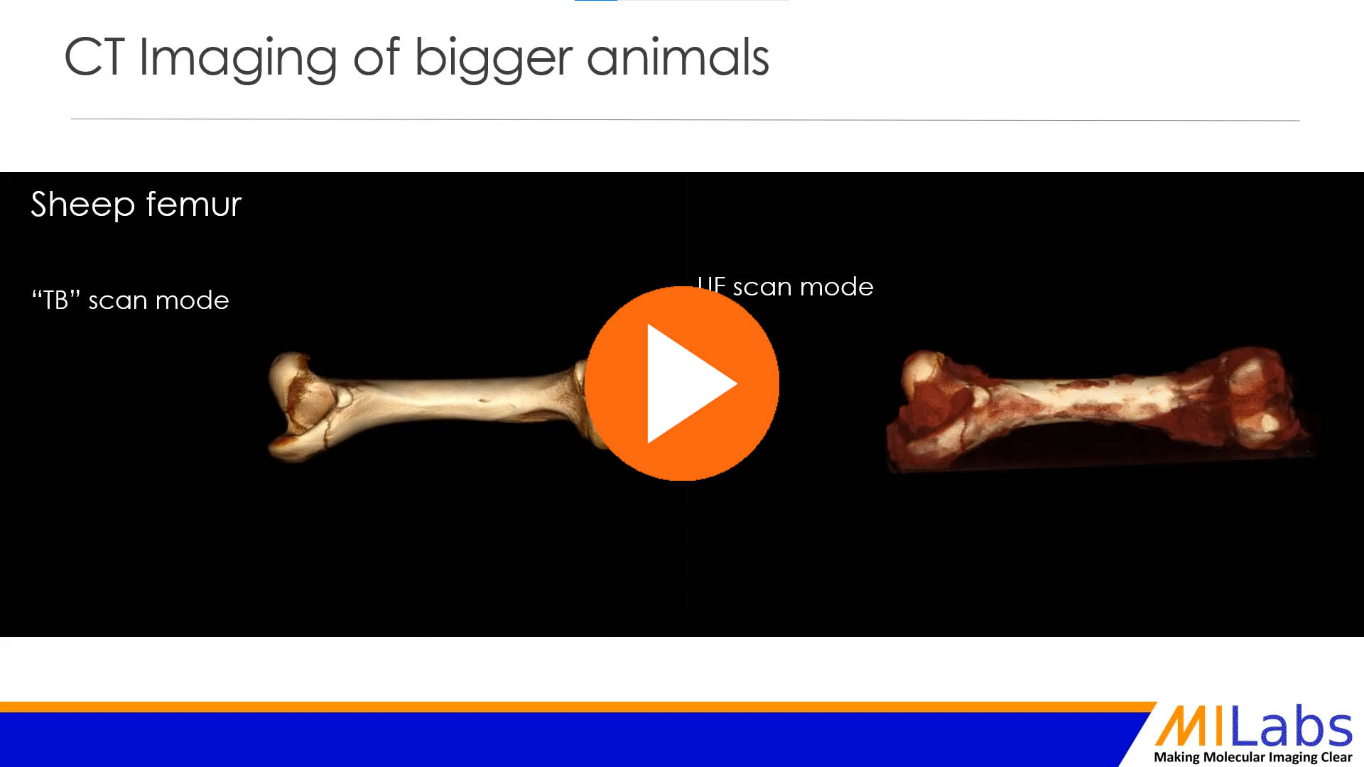 CT imaging of bigger animals