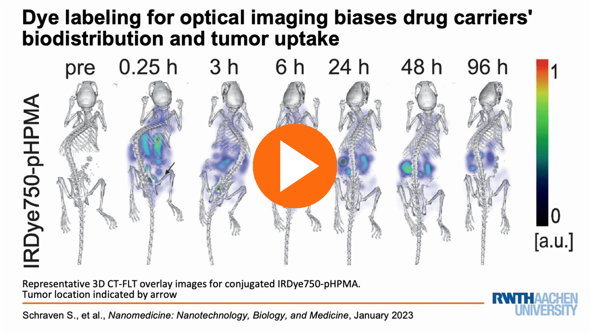 Optical imaging; Cancer research