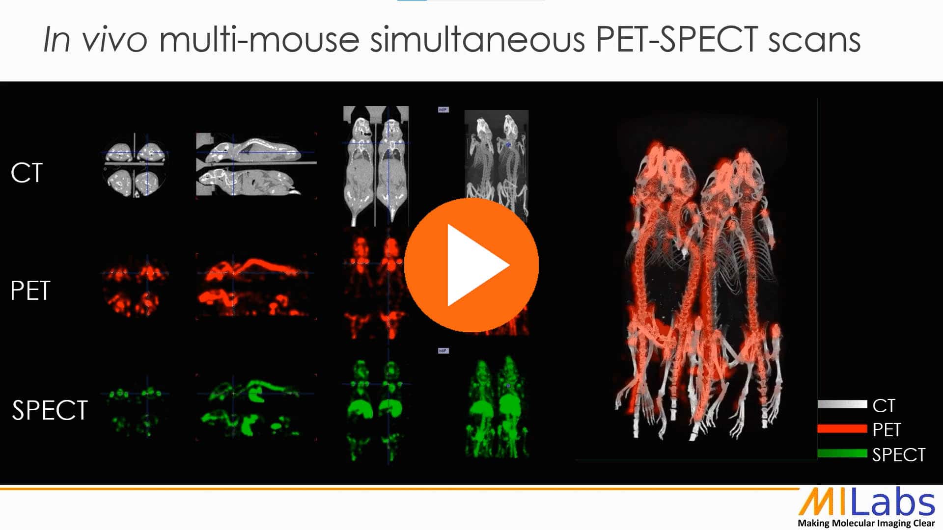 in vivo multi mouse PET SPECT scans simultaneous imaging same time