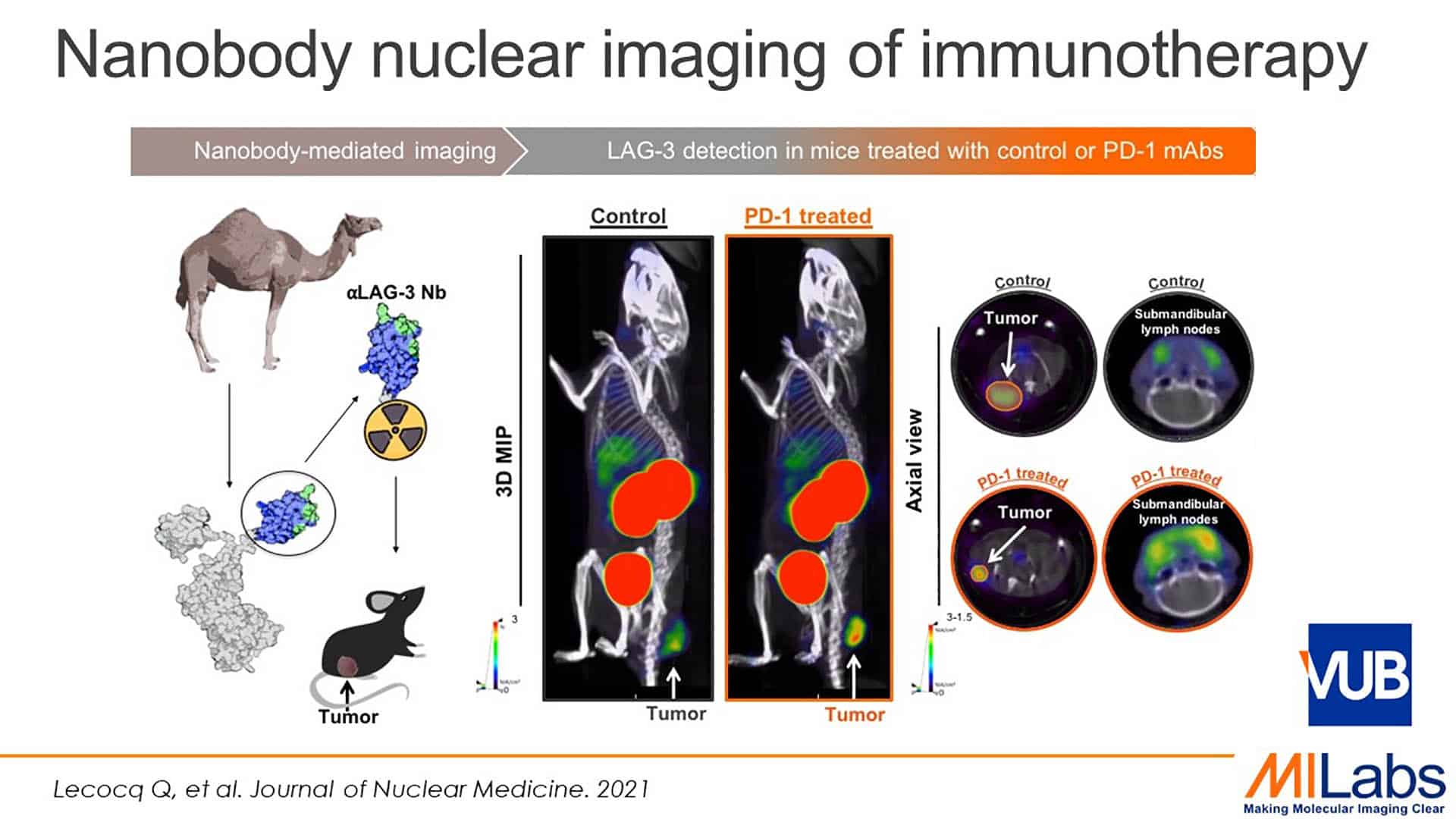microSPECT imaging of immunotherapy using nanobodies