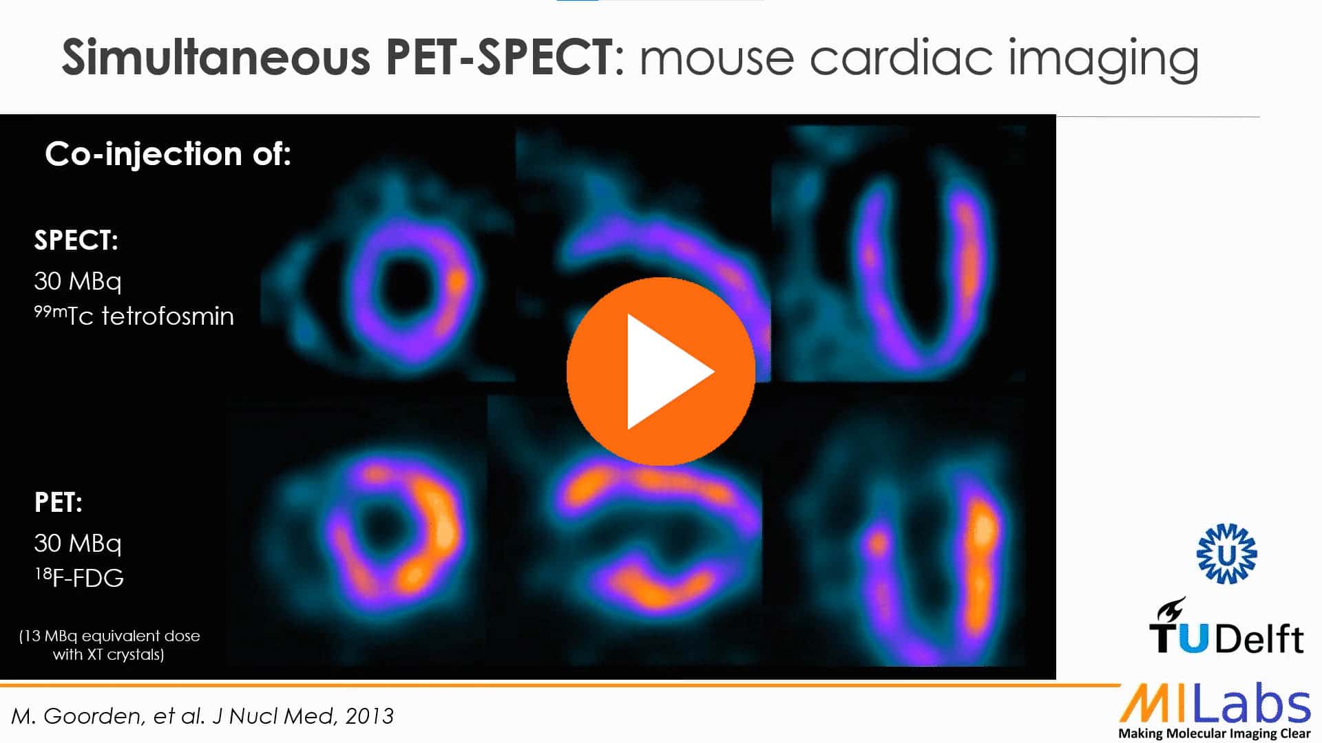 simultaneous PET SPECT rat brain imaging