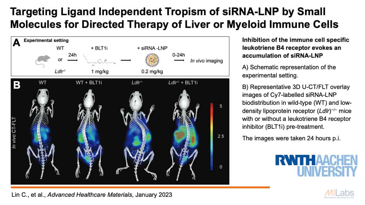 slide of RWTHAachen paper preclinical imaging optical imaging - The data provide insights into key mechanisms of siRNA-LNP biodistribution and indicate that the HDLRi has potential for extrahepatic and leukocyte targeting