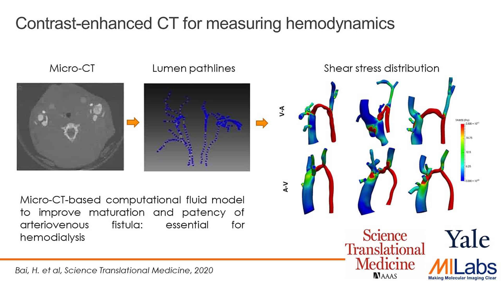 contrast enhanced microCT measuring hemodynamics