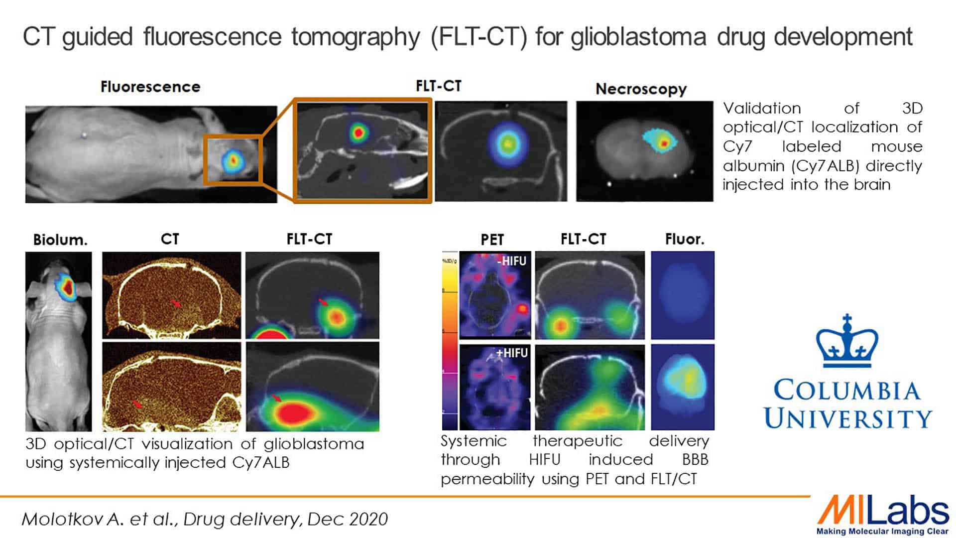 microCT guided fluorescence tomography for glioblastoma drug development