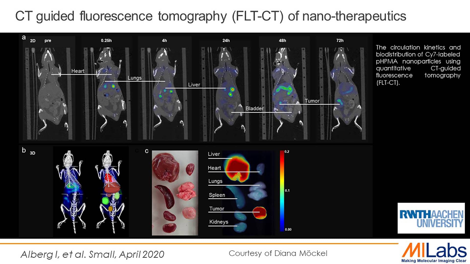 microCT guided fluorescence tomography of nano therapeutics