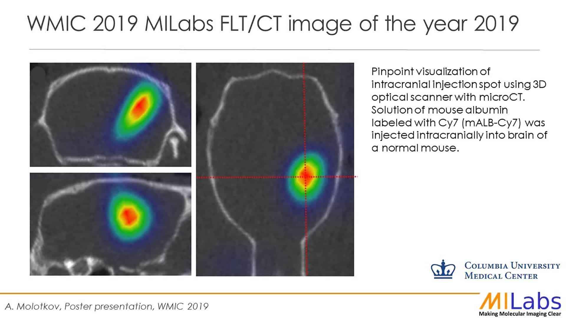 MILabs image of the year 2019 slide