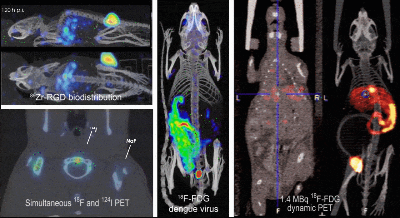 micro-PET, micro-SPECT, preclinical imaging, small animal imaging