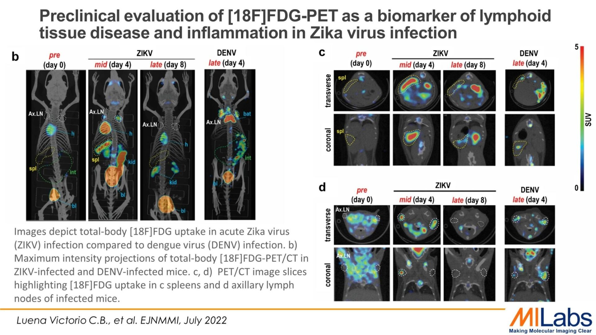 Preclinical evaluation of [18F]FDG-PET as a biomarker of lymphoid tissue disease and inflammation in Zika virus infection microPET