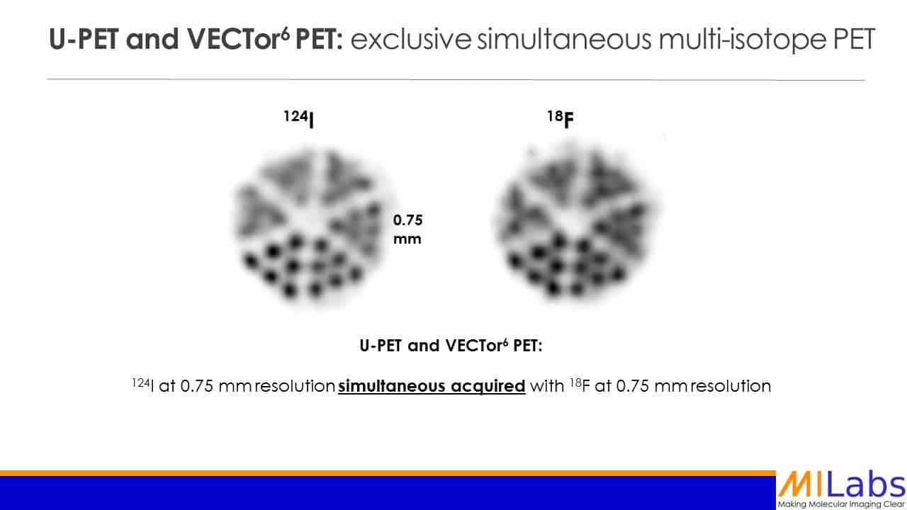 preclinical PET and VECTor6 PET exclusive simultaneous multiisotope PET imaging