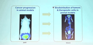 Multimodal in vivo imaging of CAR T cell therapies using MILab’s OI-CT system