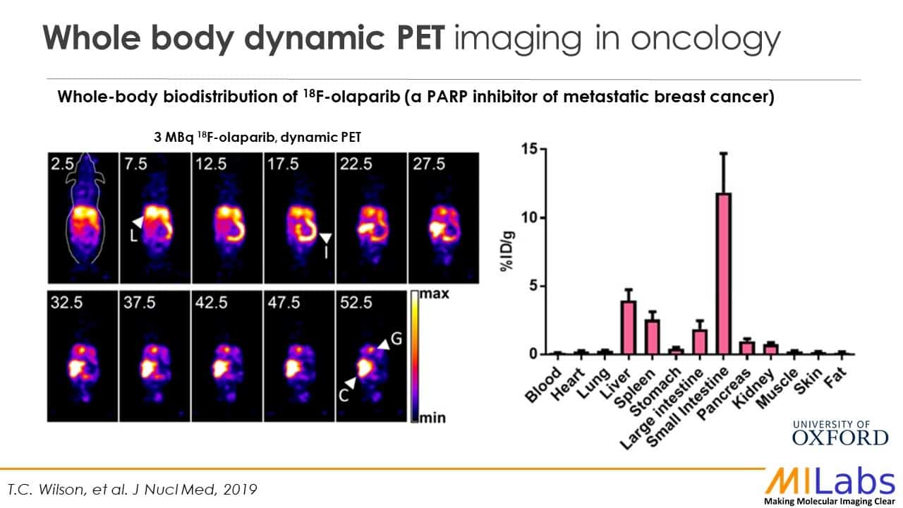 mouse whole body dynamic PET imaging in oncology